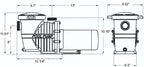 Rx Clear 1 HP Radiant PRC150 | Filtration System for Inground Swimming Pools Up to 35,000 Gallons | 1 Horsepower Extreme Force Pool Pump | 115 Volt | 1 1/2" Inch Threaded Ports