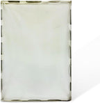 Dexter Lint Screen Replacement – Durable Frameless Dryer Lint Filters for Commercial & Residential Use (9555-057-003) - 17.75" X 29.5" (Pack of 5)