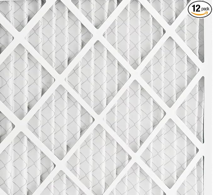 BNX TruFilter 20x22x1 Air Filter MERV 8 (12-Pack) - MADE IN USA – Dust & Pet Defense Electrostatic Pleated Air Conditioner HVAC AC Furnace Filters for Dust, Pet, Mold, Pollen MPR 600 – 700 & FPR 5