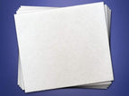 OdorStop Filter for All Models of OdorStop Ozone Air Purifiers, (12500 - White), Pack of 5