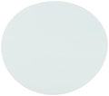 Omicron 170047R Nylon Membrane Filters, 0.2 μm, 47 mm (Pack of 100)