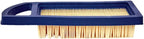RAParts Air Filter for Sears Fits Craftsman Riding Mower Fits Briggs Single Cylinder Intek Replaces 33425 797008