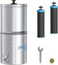 [Alkaline] Waterdrop Gravity-fed Water Filter System, Increase PH, Reduces Lead and up to 99% of Chlorine, with 2 Black Carbon Filters and Metal Spigot, King Tank Series, 2.25G