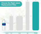 SimPure Whole House Water Filter Cartridges 20" x 4.5" GAC/KDF Carbon and Heavy Metal Filter, For DB20P, WHB20, FG25B-KS, WGB32B-KS, ‎FLTWH2045K, 2 Pack