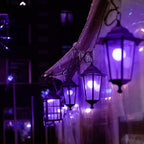 10 Pack Gel Light Filter- Colored Overlays Correction Lighting Filters,Transparent Color Film Plastic Sheets for Halloween Landscape Led Light or Reading (Purple)