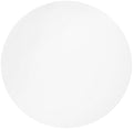 Whatman 10411213 White PTFE Membrane Filter Circle, 50mm Diameter, 1.0 Micron (Pack of 50)