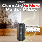 Lab Charge Small Ionic Air Purifier for Home & Bedroom – Silent HEPA Filter – Covers 250 Sq Ft - Free Cleaner for Pets, Hair, Smoke, Dust, Odors & Dander – Compact & Black Design - Pack of 4
