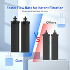 Lifefilter Replacement for BB9-2 Black Purification Water Filter, Compatible with Berkey® BB9-2 Black Filters and Berkey® Gravity Water Filter System, 4 Pack