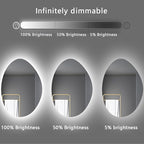 Illuminated LED Bathroom Mirror 500x800mm Wall Mounted Smart Vanity Mirror with Demister Pad Energy-Saving Three-Color Light Multifunctional Backlit Design