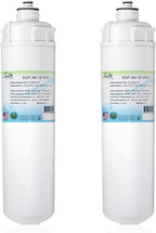 Swift Green Filters SGF-96-19 VOC-L Replacement water filter for Everpure EV9635-26, EP25, EP15 (2 Pack)