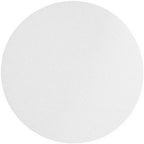 Omicron™ 170090R Nylon Membrane Circle, 90mm, 0.2 Micron (Pack of 50)(Cross Reference 7402-009)