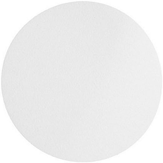 Omicron™ 170090R Nylon Membrane Circle, 90mm, 0.2 Micron (Pack of 50)(Cross Reference 7402-009)