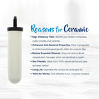 Doulton W9121214/British Berkefeld W9121215 0.5 Micron ATC Super Sterasyl Ceramic Water Filter for Gravity Systems (2 Pack)