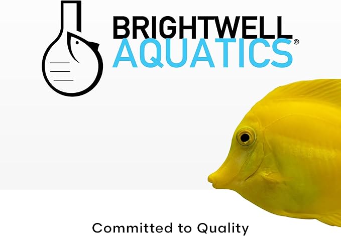Brightwell Aquatics - Xport-BIO Block Aquarium Filter - Biological Filtration Media for Bacteria Growth, Nutrient Control & Control of Unwanted Nutrients - Aquarium Water Treatments, 4 Pack, 1.5 inch