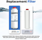 Water Filter Replacement Compatible With Elkay 51600C EWF6000 Bottle Filling Stations, 6000 Gallons/12 Months (No Chip - 6 Pack)