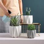 Outdoor Succulent Plantpot Cactus Plant Container Cement Flowerpot Container Modern Simple Planter Flower Vase Meat Plant Cement Container Concrete Flower Plant (Gray1 13cm*11.5cm)