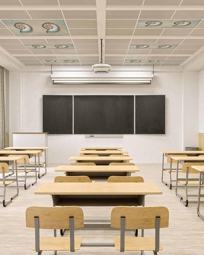 Fluorescent Light Covers for Ceiling Lights Shell Conch Magnetic Light Filters 1 Pack 4x2 ft Vintage Ocean Marine Life Ceiling Lights Cover for Classroom Office School Home Drop Lamp Decor
