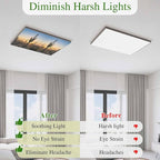 Fluorescent Light Covers for Drop Ceiling Desert Cactus Sunset Magnetic Light Filters, Tropical Plant Natural Scenery Ceiling Shade Filters for Home Classroom Office,2x4 ft,2Packs