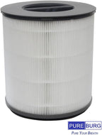 PUREBURG 12030 Replacement Filter Compatible with Clorox 11030 11031 Medium Rooms Air Purifiers,2-Pack H13 True HEPA Activated Carbon 2-in-1 3-Stage Filtration
