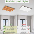 Tropical Plant Cactus Fluorescent Light Covers 1 Pack Western Cowboy Horse Sunset Deserts Orange Magnetic Fluorescent Ceiling Lights Filters for Office Classroom Home Drop Ceiling 4x2 Feet