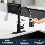 Kitchen Sink Faucet with Pull - Down Sprayer, 2 - Handle 3 - in - 1 Kitchen Sink Filter Faucet, Cold and Hot Mixer Drinking Water Faucet (Classic, Black-2)