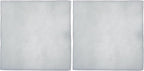 iPower 4 Inch Replacement Pre-Filter for 4" Carbon Filter (Pack of 2)