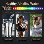 Under Sink Alkaline Water Filter with Faucet, 2-Stage Water Filter System Reduces Heavy Metals, Chlorine, Sediment, Improves pH and Taste, Remineralization, NSF 42&53 Certified