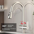 Kitchen Sink Faucet with Pull - Down Sprayer, 2 - Handle 3 - in - 1 Kitchen Sink Filter Faucet, Cold and Hot Mixer Drinking Water Faucet (3-in-1 Filter Faucet, Brushed Nickel)
