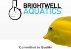 Brightwell Aquatics - Xport-BIO Block Aquarium Filter - Biological Filtration Media for Bacteria Growth, Nutrient Control & Control of Unwanted Nutrients - Aquarium Water Treatments, 8 Pack, 1.5 inch