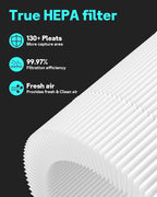 Leemone Core Mini Replacement Filter for LEVOIT Core Mini Air Purifiers,Core Mini-P, 3-in-1 HEPA, High-Efficiency Activated Carbon, Replace Part Core Mini-RF,2 Pack