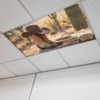 Fluorescent Light Covers, Cowboy Western Magnetic Light Covers for Ceiling Lights, Cowboy Hats Boots Desert Cacti Vintage Fluorescent Ceiling Shade Filters for Classroom Bedroom Office 4x2Ft x 1PCS