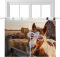 Farm Horses Bedroom Curtains 63 Inch Length, Window Curtains Tab Top, Farmhouse Barn Funny Animals Butterfly Light Filtering Window Treatments Drapes 42"x63" 2 Panel