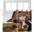 Farm Cows Bedroom Curtains 63 Inch Length, Window Curtains Tab Top, Farmhouse Barn Funny Animals Butterfly Light Filtering Window Treatments Drapes 42"x63" 2 Panel