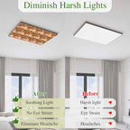 Tropical Plant Cactus Fluorescent Light Covers 1 Pack Western Cowboy Horse Sunset Deserts Brown Magnetic Fluorescent Ceiling Lights Filters for Office Classroom Home Drop Ceiling 4x2 Feet