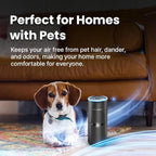 LabCharge Small Ionic Air Purifier for Home & Bedroom – Silent HEPA Filter – Covers 250 Sq Ft - Free Cleaner for Pets, Hair, Smoke, Dust, Odors & Dander – Compact & Black Design - Pack of 5