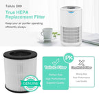 Tailulu Air Purifier Replacement Filter for D09 Air Cleaner, 3-in-1 True H13 HEPA Filter, 1 Pack