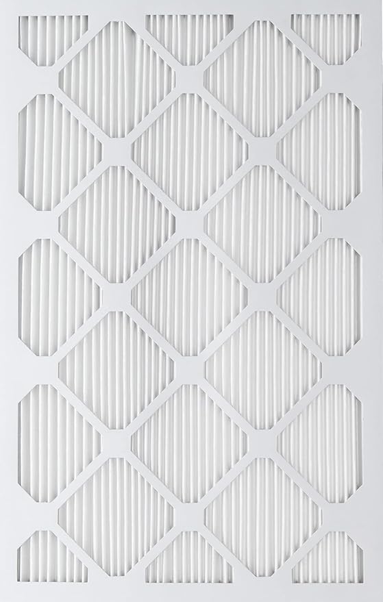 Nordic Pure 20x25x1 (Actual Size: 19 1/2 x 24 1/2 x 3/4) Tru Mini Pleat MERV 12 AC Furnace Air Filters – 2.5X More Media for Longer-Lasting, High-Efficiency Filtration - 2 Pack