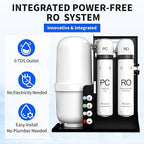 WINGSOL Integrated Reverse Osmosis Water Filter, NSF/ANSI 42/53/58, Dual Outlet 10-Stage Under Sink RO Filtration System for 0 TDS & pH+ Alkaline Remineralization Water, No Electricity Needed