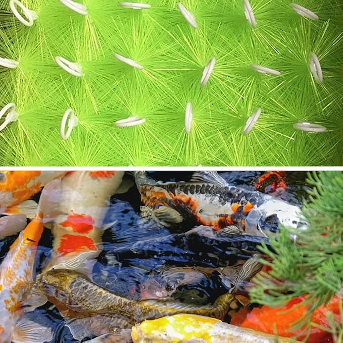 50 Packs Filter Brushes Aquarium Brushes Set for Koi Pond Water Garden Outdoor Pond Skimmers Brush Filter Cleaning Brush 27.5 Inch by 4.7 Inch (Green)