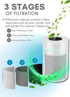 MEGAWISE Air Purifier for Home, Bedroom & Office, H13 True HEPA Filter, Smart Air Quality Sensor, Removes Dust, Smoke & Odors, Quiet Sleep Mode, Covers Up to 216 sq. ft.