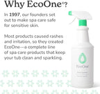 ecoone Filter Cleaner All-Natural Spa & Hot Tub Filter Cleaner | Foam-Free, Chlorine-Free, & Phosphate-Free Spa Filter Cleaner | Prolongs Filter Life and Leaves No Residue, 8 Oz