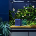 LIYAOLI 2PCS Pure Cube Water Trough Filter - Eco-Aquarium Fish Tank Filters Kit, Honeycomb Activated Carbon Media for Small Tanks, Horse Troughs & Pond Cleaning (Blue)