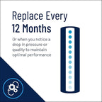 Pentair Pentek CBC-20BB Big Blue Carbon Water Filter, 20-Inch, Whole House Carbon Block Replacement Cartridge with Bonded Powdered Activated Carbon (PAC) Filter, 20" x 4.5", 0.5 Micron