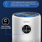 Tailulu 2 Pack D10 Replacement Filter, Air Purifier Filter for Tailulu D10 Air Purifier, 3-in-1 H13 Grade True Replacement Filte with Extra 6 Pieces Aroma Pads