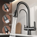 Kitchen Sink Faucet with Pull - Down Sprayer, 2 - Handle 3 - in - 1 Kitchen Sink Filter Faucet, Cold and Hot Mixer Drinking Water Faucet (3-in-1 Filter Faucet, Black)