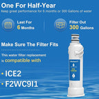 ICE2 F2WC9I1 F2WC911 Filter (2 Pack)