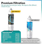 ICEPURE PLUS 46-9490 NSF/ANSI 53 NSF/ANSI 42 Certified Compatible with LG LT800P, ADQ73613401, ADQ73613408, ADQ75795104, LMXS30776S, LSXS26366D, Kenmore 9490 Refrigerator Water Filter, 2PACK