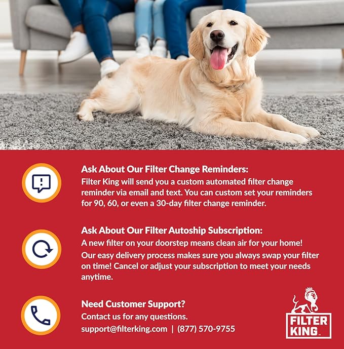 Filter King 17.25x19.25x1 Air Filter | 6-PACK | MERV 11 HVAC Pleated A/C Furnace Filters | MADE IN USA | Actual Size: 17.25 x 19.25 x .75"