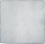 iPower 6 Inch Replacement Pre-Filter for 6" Carbon Filter