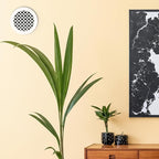 SABA Home Decor Air Vent Cover Grille - Acrylic Plexiglass 4 Round Duct Opening (5.5 Round Overall) White Finish Decorative Register Covers for Walls and Ceilings NOT for Floor USE, Venetian (2PCs)